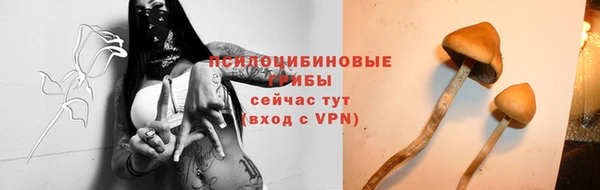 a pvp Алзамай